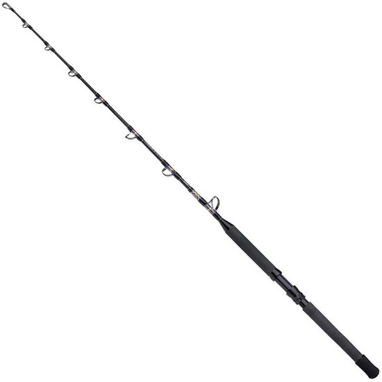 Shimano Fishing Tyrnos B Stand Up Spiral Bodemvissen Hengel Zilver 1.65 m / 50 Lbs