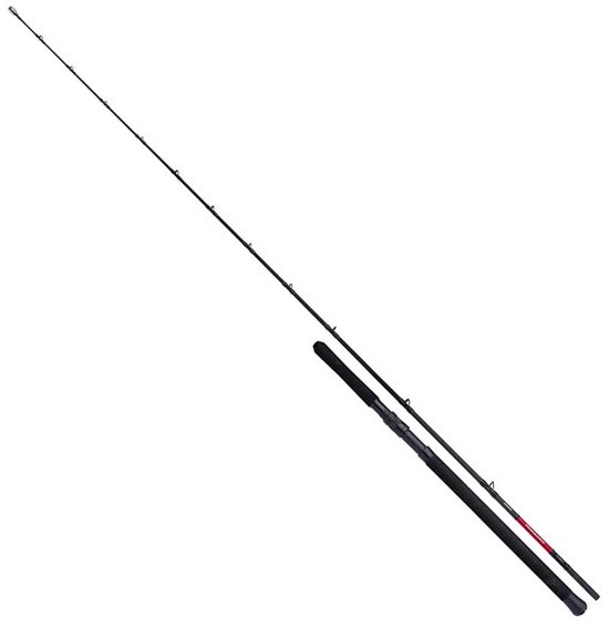 Shimano Fishing Vengeance Bx Boat Slim Trollinghengel Zilver 2.29 m / 30-50 Lbs