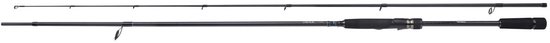 Shimano Stradic Spinning Fast | 2.69m | 14-42g