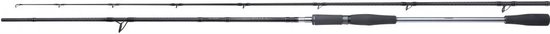 Shimano Yasei AX Pike Spinning | 2.50m | 40-120g 2.50m 40-120g van Shimano