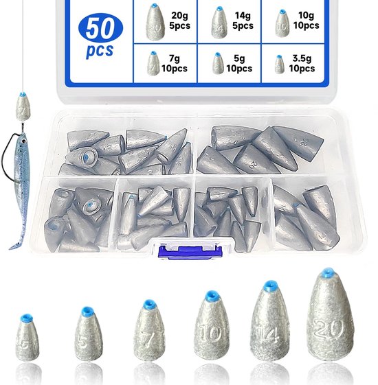 Solidchoice - 50 Stuks Vissenlood Gewichten met Opbergdoos
