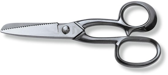 Solidchoice - Roestvrijstalen Visschaar, Totale Lengte 21 cm