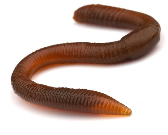 Spro Freestyle Twitch Worm