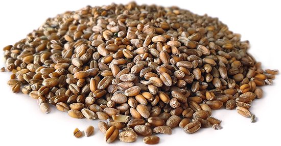 Tarwe 20KG | Karpervissen | Partikels | Karper Aas | Karper Vissen | Karper Voer | Karper