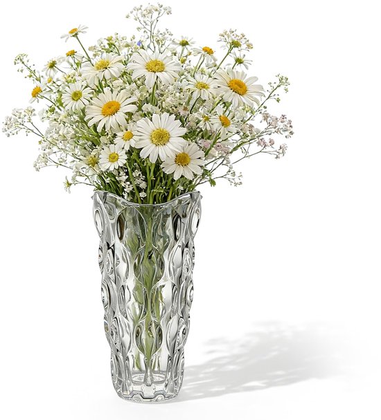 Vaas, 24 cm, moderne minimalistische glazen vaas, grote tulpenvaas, Scandinavische hoge bloemenvazen voor thuis, eettafel, cadeau bruiloft, housewarming party (transparant)