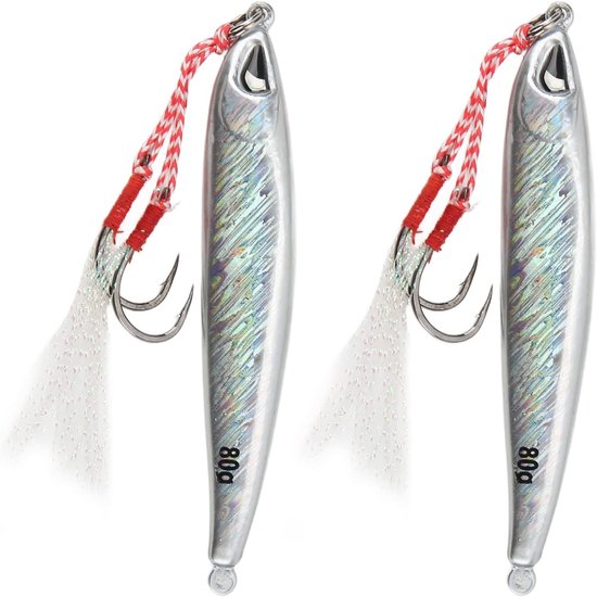 Vertical Fish Molds - 2pcs Metal Sea Fishing Lure - Long Throw Jigging Iron Plate - Artificial Hard Bait met Hooks voor Tuna - Perch - Grouper (80g) van SHADDOCK