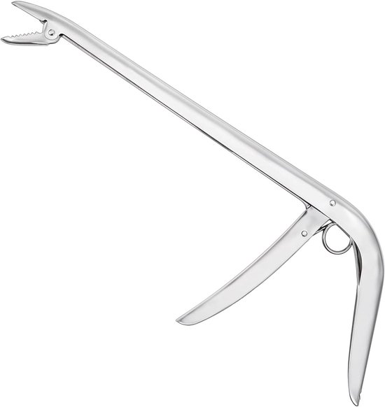 Vis Haak Verwijderaar RVS Vistang - Vis Haak Verwijderaar - Onthaken - Zoutwater Zoetwater - Vistools - Visvangst - Geschikt voor Vissen - Zilverkleurig Lang Model van HB Verkoop