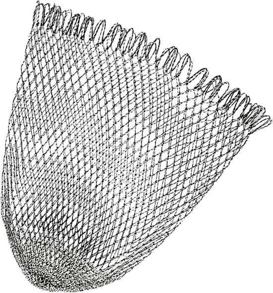 Vis Landingsnet - Schepnet Hengelsport - Vis Vangen - Hoge Treksterkte Nylon - 60 x 85 cm - Zwart