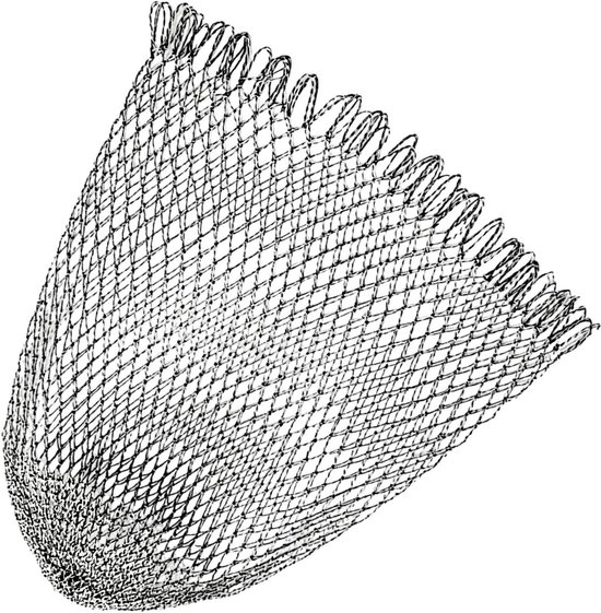 Vis schepnet - Gaasvangnet landingsnet - Veilige visvangst - Betrouwbare scheurbestendigheid - 60 x 85 cm - Zwart