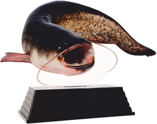 Vis Trofee - Meerval Prijs - Roofviswedstrijd Prijs - Realistische Visserij Afbeelding - 17 cm - Natuurlijke kleuren