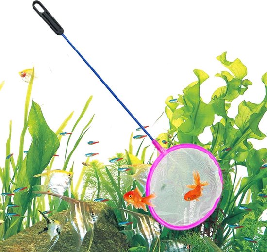 Visnet Aquarium - Garnalennet Schepnet - Vissen Vangen - Fijnmazig Ontwerp - 7-12 cm Diameter - Willekeurige Kleur van Merkloos