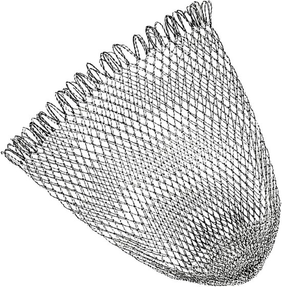 Visnet - Schepnet - Vis Vangen - Spanningsbestendig Nylon - 60 x 85 cm - Zwart