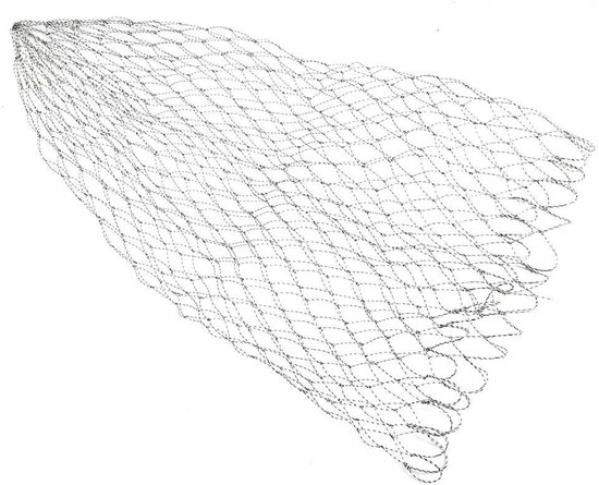 Visnet - Schepnet - Vissen Vangen - Dubbel Gevlochten Lijn - 50 cm - Groen