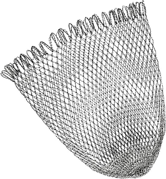 Visnet - Schepnet - Vissen Vangen - Hoge Sterkte Nylon - 60x85 cm - Zwart