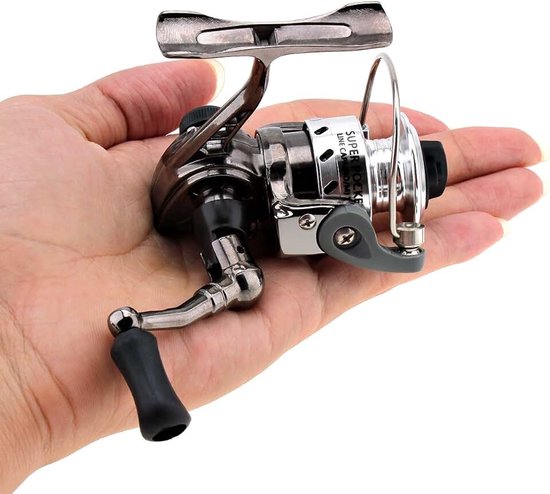 Visrollen Spinnende Haspel 4.3:1 Tandwielkast Metalen Ontwerp Soepele en Krachtige Spinnende Visrollen voor Karper Bass Forel Zoetwater Zoutwater Vissen