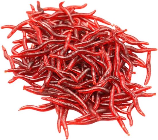 Vissen Aas - Worm Lures - Vissen Vangen - Realistische Worm Vorm - 4 cm - Rood van VISSEN