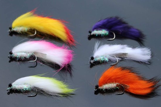 Vliegvis Set - Streamers Lokkers - Forel Vissen - 6 Kleuren Assorti - Haak Maat 2 - Geassorteerd