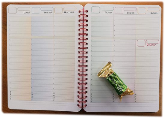 Weekly Planer A5 15 x 21 cm - 1 week op 2 pagina's - zonder datum - blok met spiraal