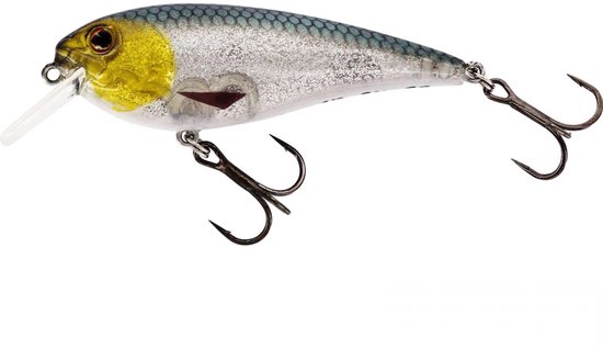 Westin Fishing Rawbite Crankbait floating 3D Headlight (7cm) van Merkloos