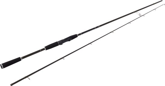Westin W2 Finesse Shad 2.48m 12-38g H