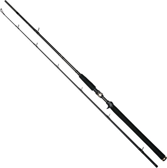 Westin W3 Jerkbait-T 2nd 1,95 m 40-130 gr XXH