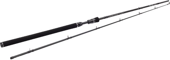 Westin W3 JerkBait-T 3rd Generation 1.98 m 20-80 gr H 2pc. van Merkloos