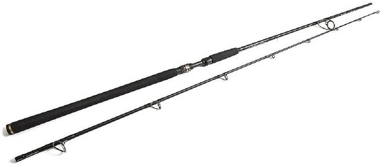 Westin W3 Powercast 2nd Generation 2.48 m 40-130 gr XXH 2pc. van Merkloos