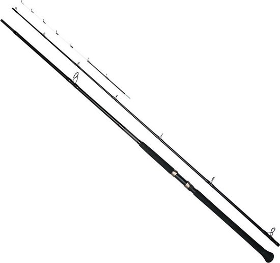 Westin W3 Powersturgeon Karperhengel Zwart 3.60 m / 40-150 g