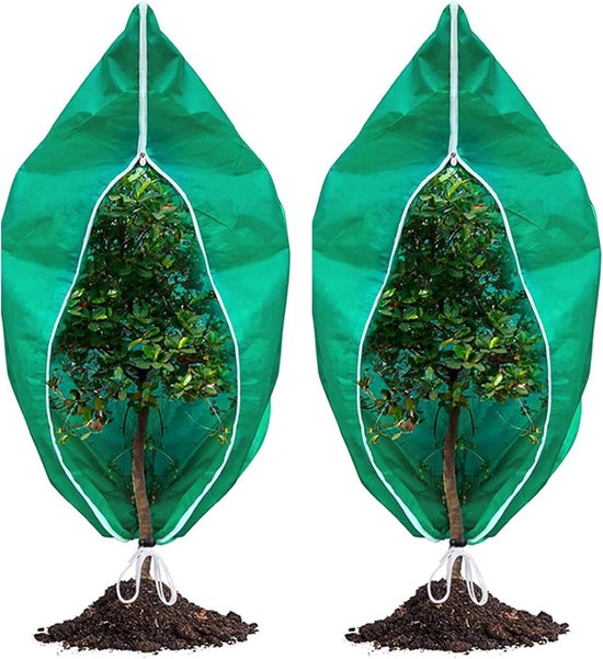 Winterbescherming voor planten, 60x80 cm, 2 stuks