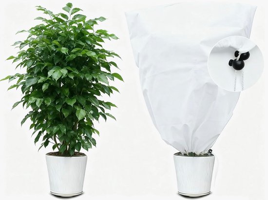 Winterbescherming voor planten - 60x80cm