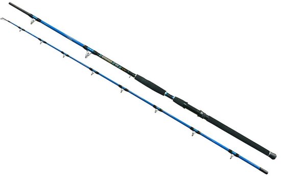 Wizard Cat Pro Power Meervalhengel Zilver 3.00 m / 600-800 g van Wizard