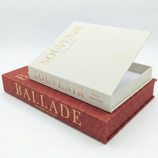 Woondecoratie van linnen, set van 2 luxe geheime dozen voor boekenkast of woonkamerplank - dummy boeken met afstandsbediening of andere voorwerpen (terracotta & beige)