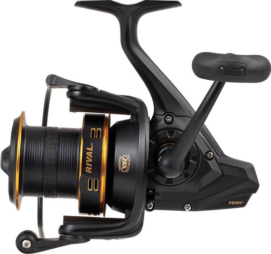 Zeemolen - Penn Rival Gold 8000LC - Longcast