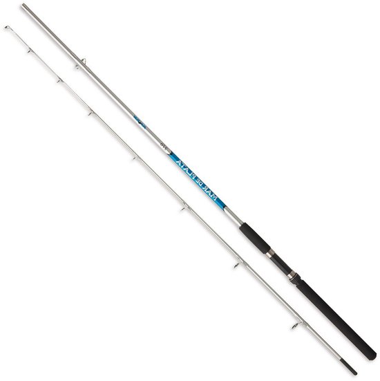 Zunzun Mar De Plata Spinhengel Zilver 2.40 m / 80-120 g